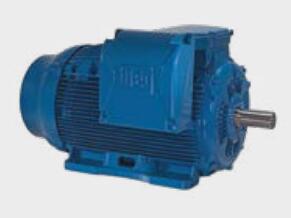 W22系列高效電機(jī)
